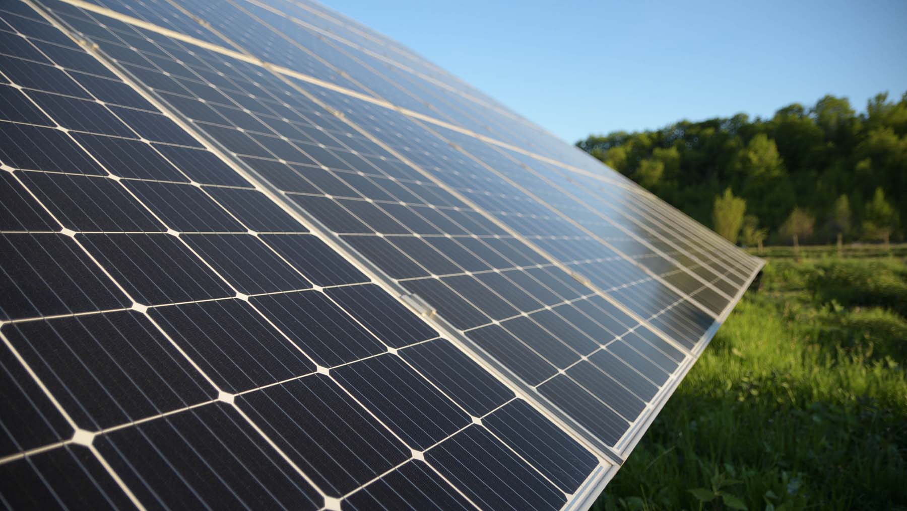 Pannelli fotovoltaici in un prato